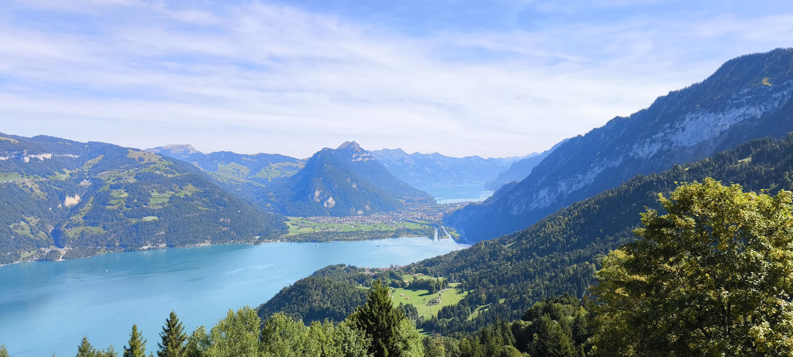 Bild_5