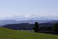 IMG_5488_I
